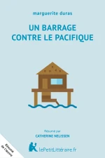 Un barrage contre le Pacifique