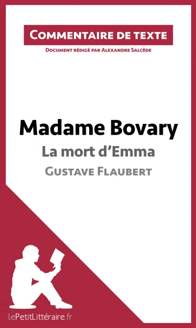 Commentaire :  Madame Bovary