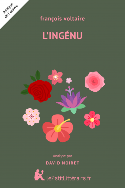 Analyse du livre :  L'Ingénu