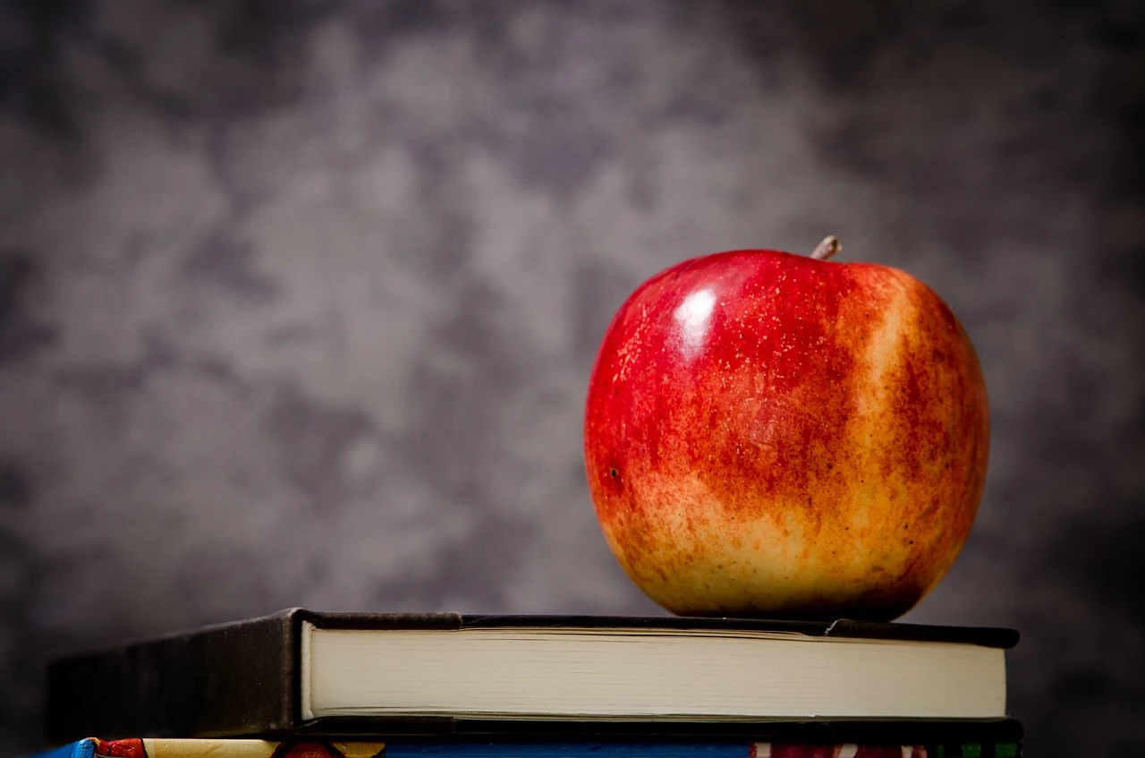 Conseils pour gérer le stress à l'approche du bac de français